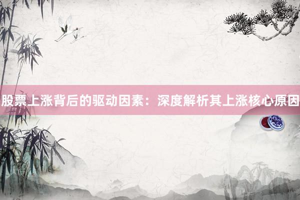 股票上涨背后的驱动因素：深度解析其上涨核心原因