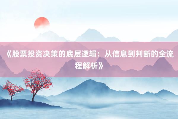 《股票投资决策的底层逻辑：从信息到判断的全流程解析》