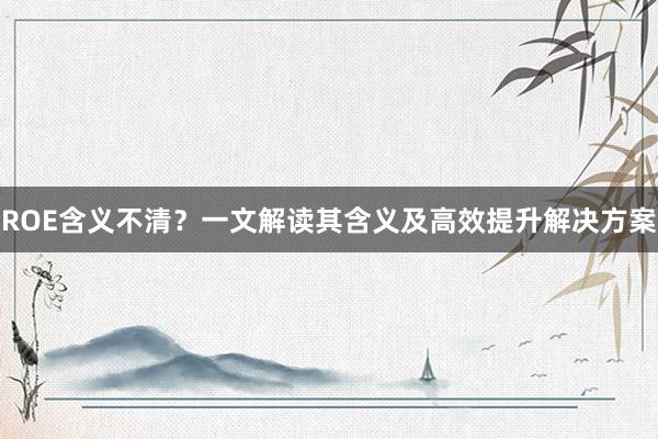 ROE含义不清？一文解读其含义及高效提升解决方案