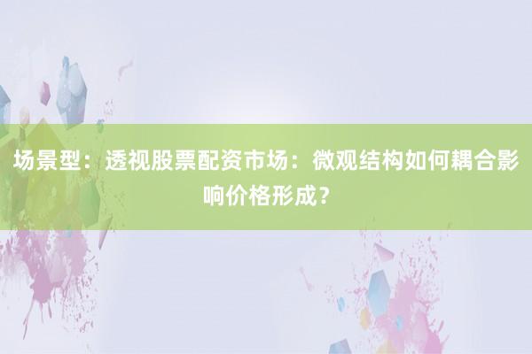场景型：透视股票配资市场：微观结构如何耦合影响价格形成？