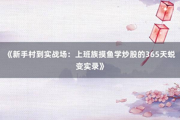 《新手村到实战场：上班族摸鱼学炒股的365天蜕变实录》