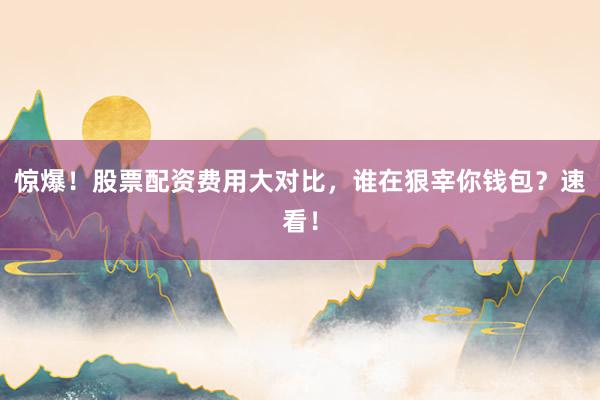 惊爆！股票配资费用大对比，谁在狠宰你钱包？速看！