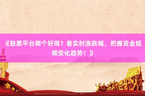 《股票平台哪个好用？看实时涨跌幅，把握资金规模变化趋势！》