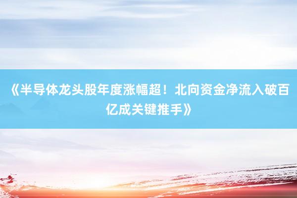 《半导体龙头股年度涨幅超!北向资金净流入破百亿成关键推手》