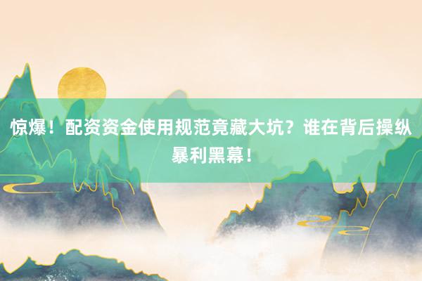 惊爆！配资资金使用规范竟藏大坑？谁在背后操纵暴利黑幕！