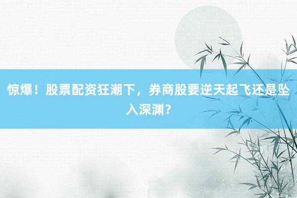 惊爆！股票配资狂潮下，券商股要逆天起飞还是坠入深渊？
