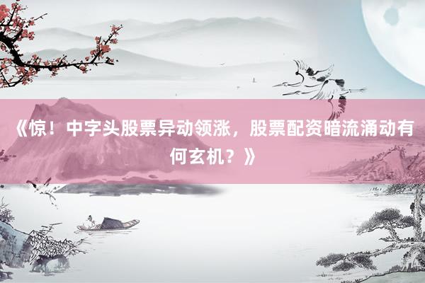 《惊！中字头股票异动领涨，股票配资暗流涌动有何玄机？》